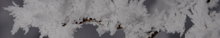 Headerbild Headerbild